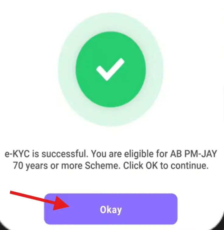 e-KYC Successful