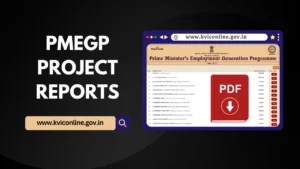 PMEGP Project Report