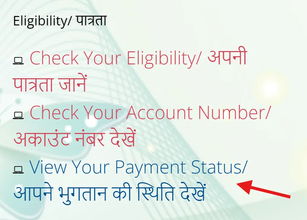 View Your Payment Status