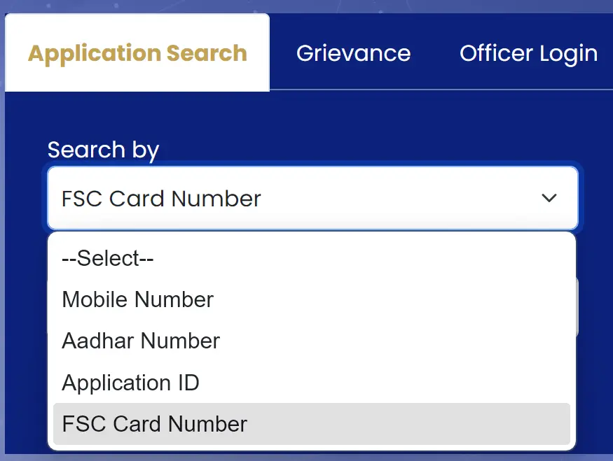 Application Search Options