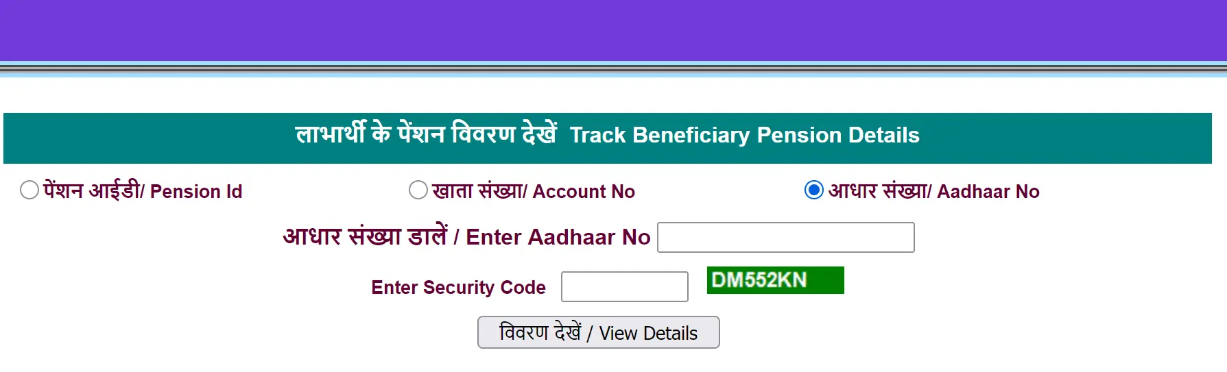 Payment Status Checking Page
